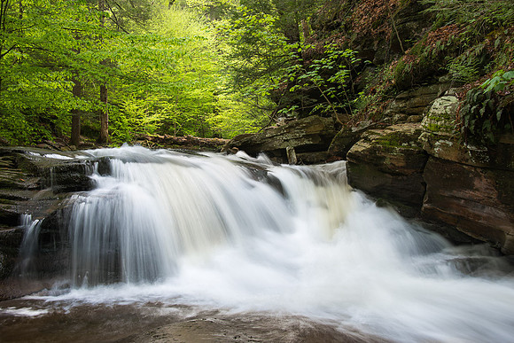 Conestoga Falls