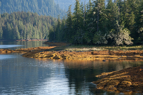 Coastline