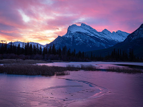 20231105-Alberta0192-DNG_DxO_DeepPRIME