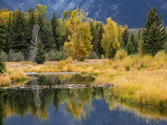 Beaver Dam, Schwabacher's Landing
