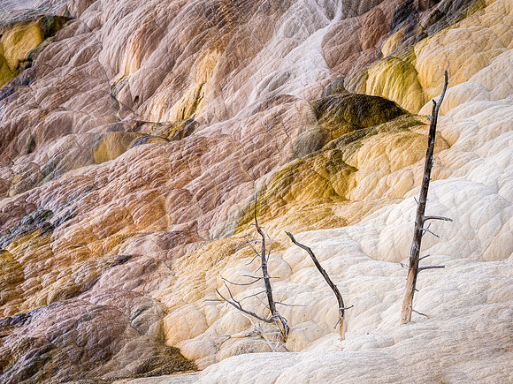 Mammoth Hot Springs