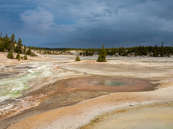 Norris Geyser Basin