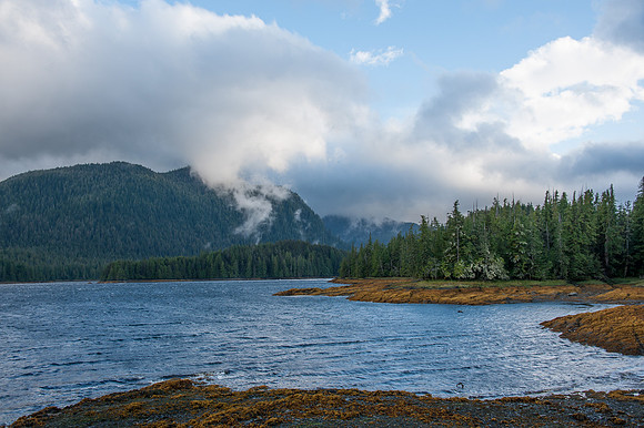 Island Coastline