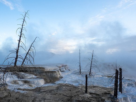 Mammoth Hot Springs