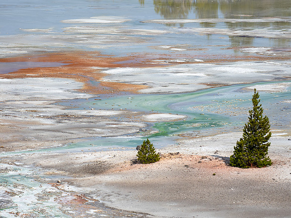Norris Geyser Basin