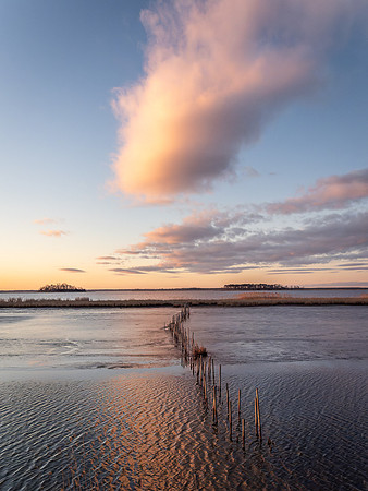 Sunrise from Wildlife Drive
