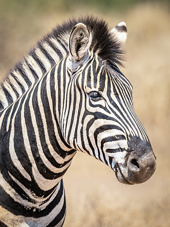 220908 Tshukudu 0263-Edit
