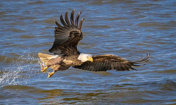 220426 James River 3649