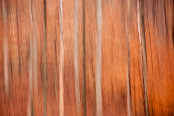 Woodlands Swipe Abstract