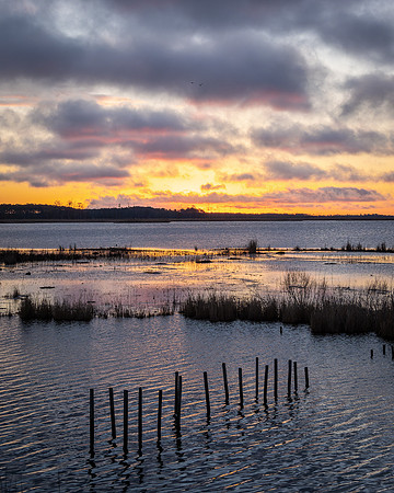 Blackwater Sunrise