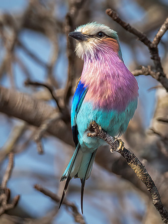 220908 Tshukudu 0088-Edit
