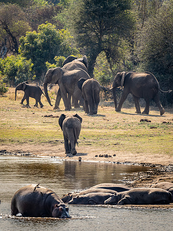 220908 Tshukudu 0325-DNG_DxO_DeepPRIME