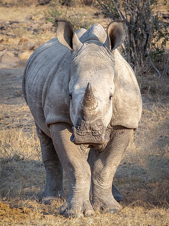 160101 Tshukudu 0571-Edit-2-Edit