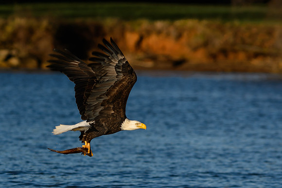 James River