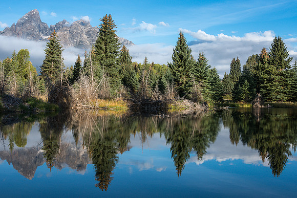 Reflections