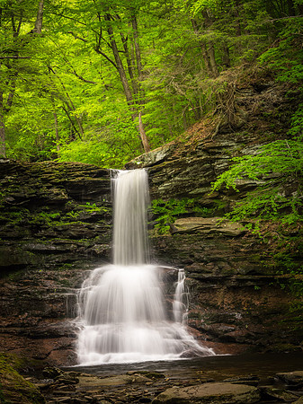 Sheldon Reynolds Falls