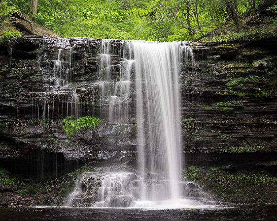 Harrison Wright Falls
