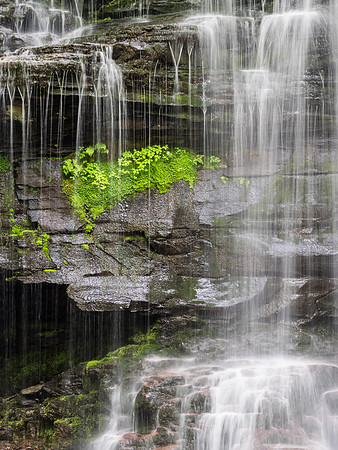 Harrison Wright Falls