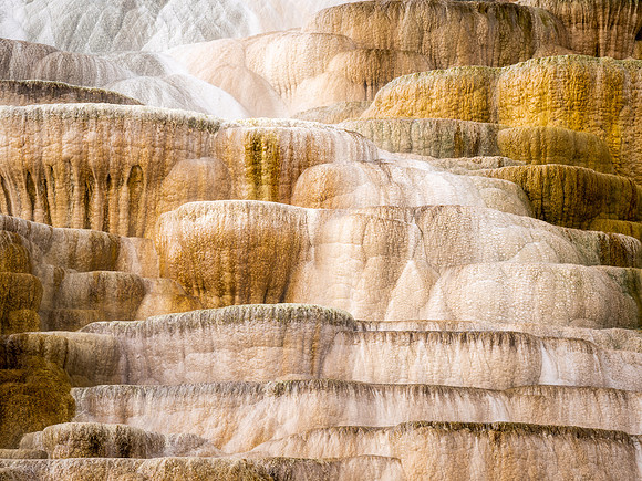 Travertine at Mammoth Hot Springs