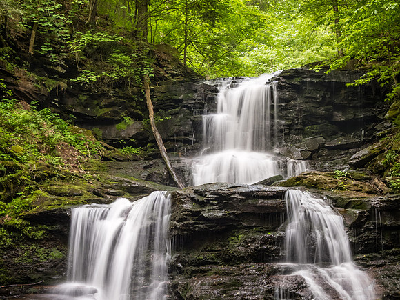 Tuscarora Falls