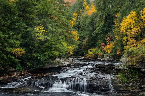 Swallow Falls