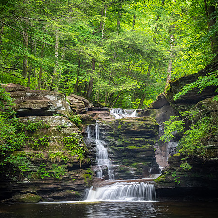 Murray Reynolds Falls