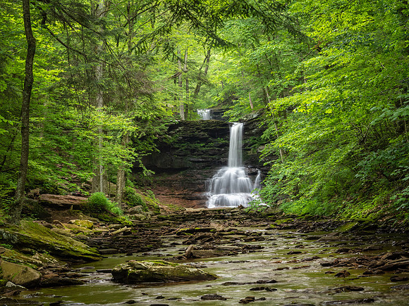 Sheldon Reynolds Falls