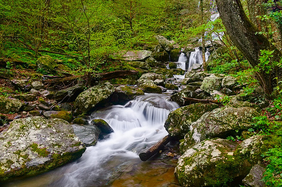 Dark Hollow Falls, Shenandoah NP