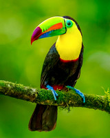 Costa Rica 2024