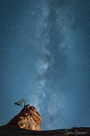 Little Tree Milky Way