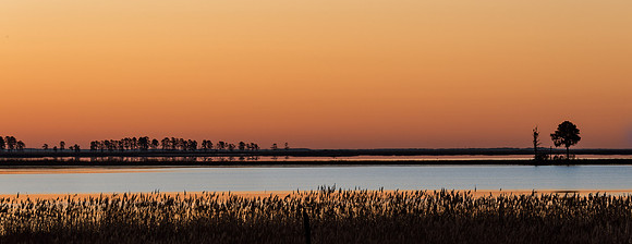 Blackwater Sunrise
