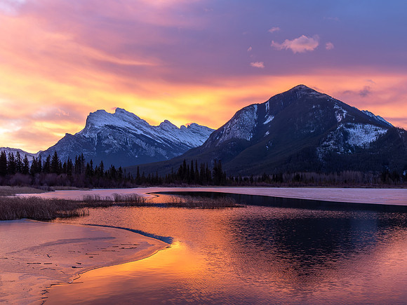 20231105-Alberta0207-DNG_DxO_DeepPRIME
