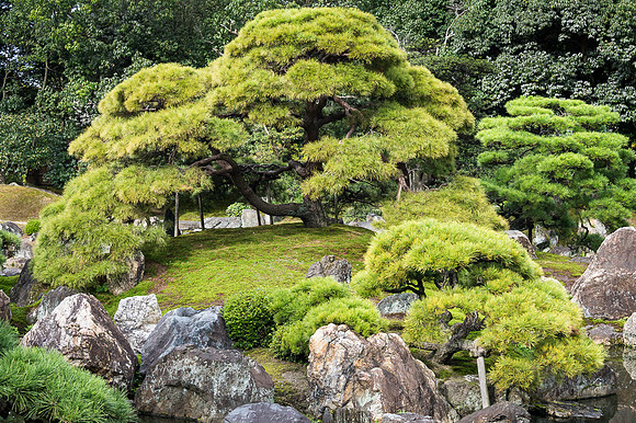 Japanese Garden