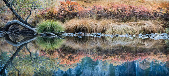 Merced River Reflection