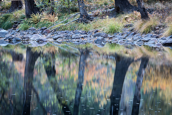 Fall Reflection