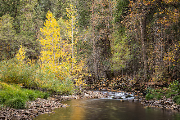 Fall along the Merced River