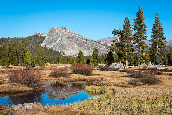 Tuolumne Meadows