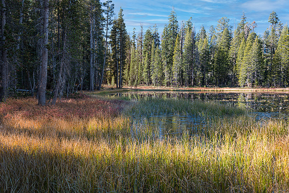 High Country Pond
