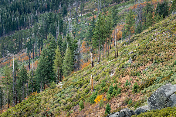 Washburn Point