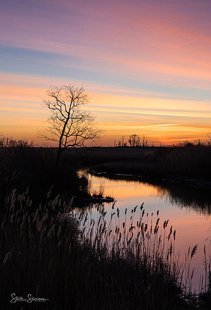 Sunrise Reflection