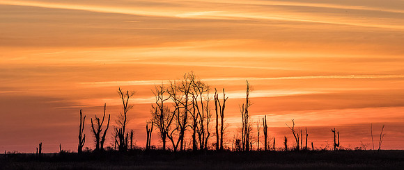 Sunrise Silhouette