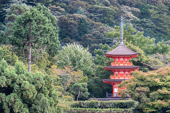 161013 Japan 0264-Edit
