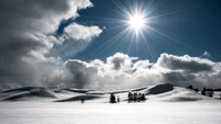 Hayden Valley Sun Star
