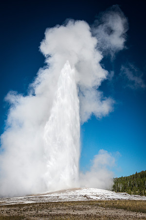 Old Faithful Geyser Erupting