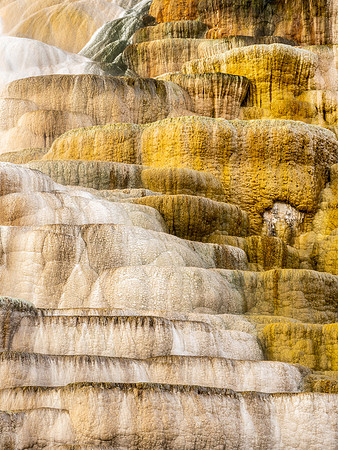 Travertine at Mammoth Hot Springs