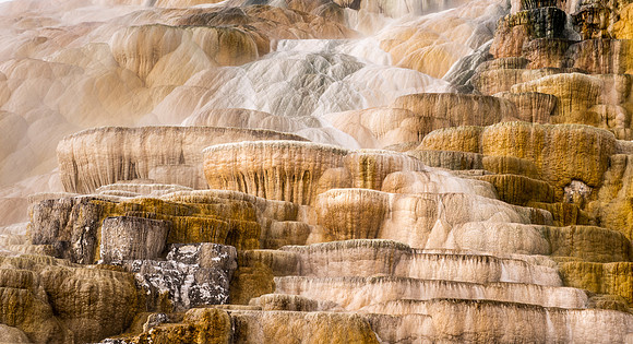 Travertine at Mammoth Hot Springs