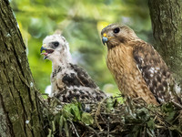 20210520-Riverside0119-Edit-Edit