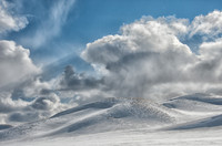 Hayden Valley