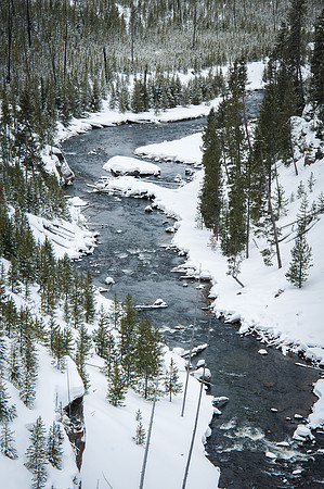 Gibbon River
